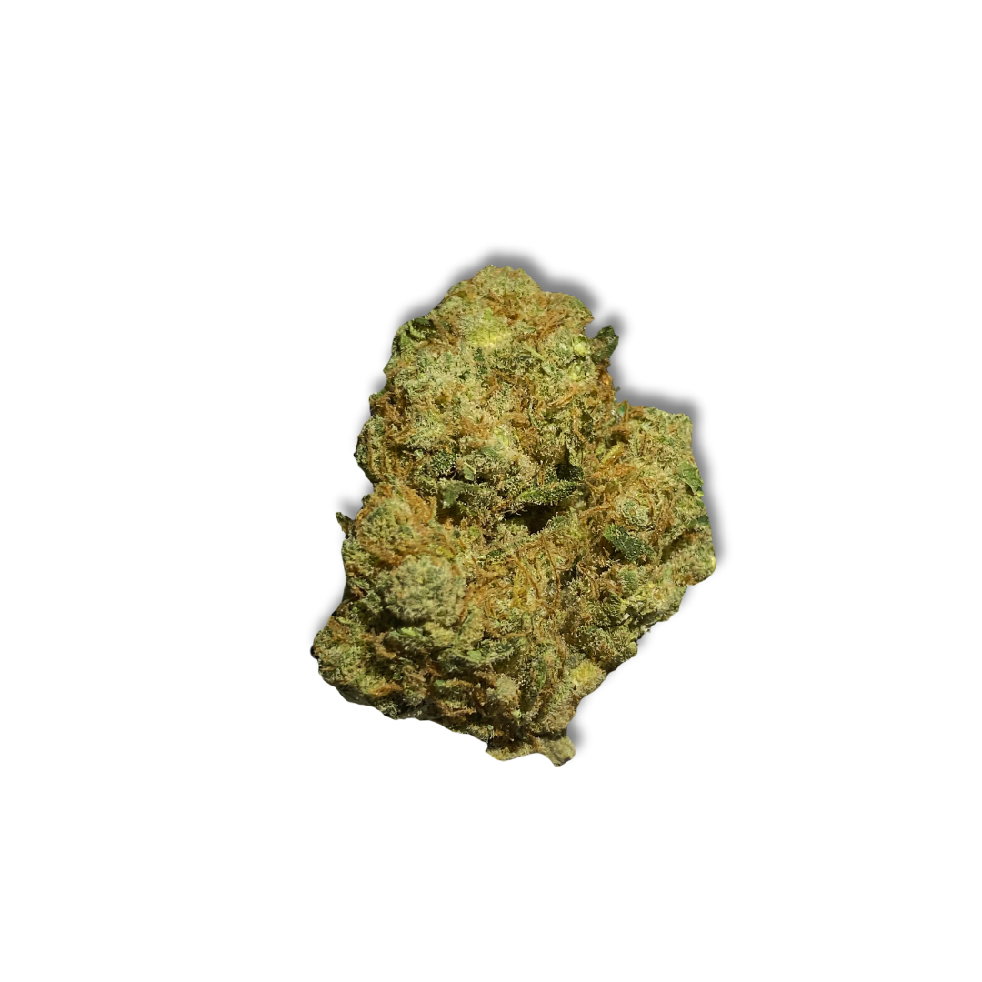 G13