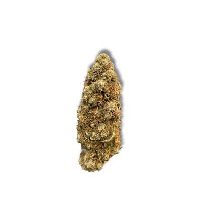 ORANGE BUD CBG - La main verte - CBD