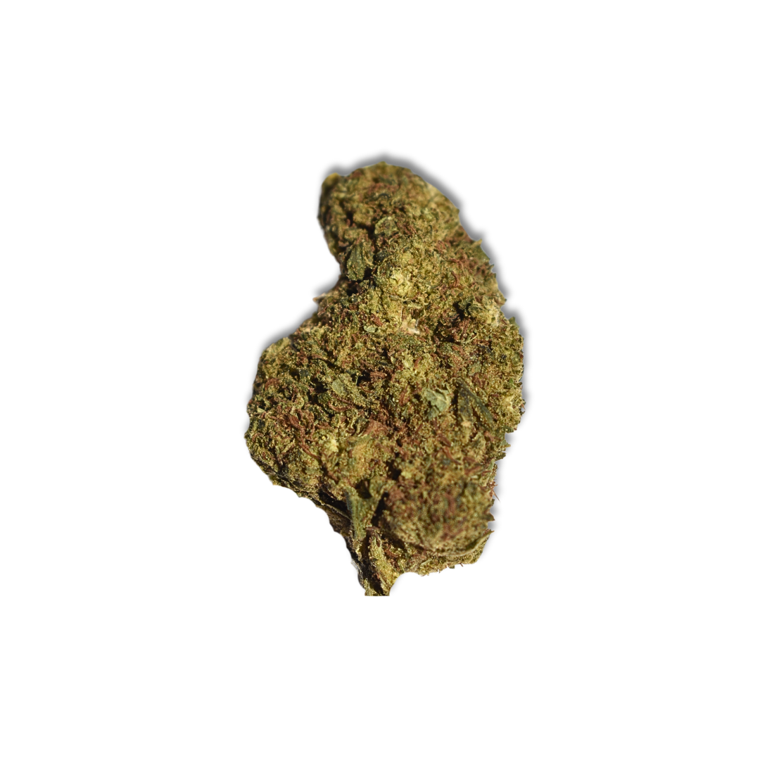 ROYAL GORILLA