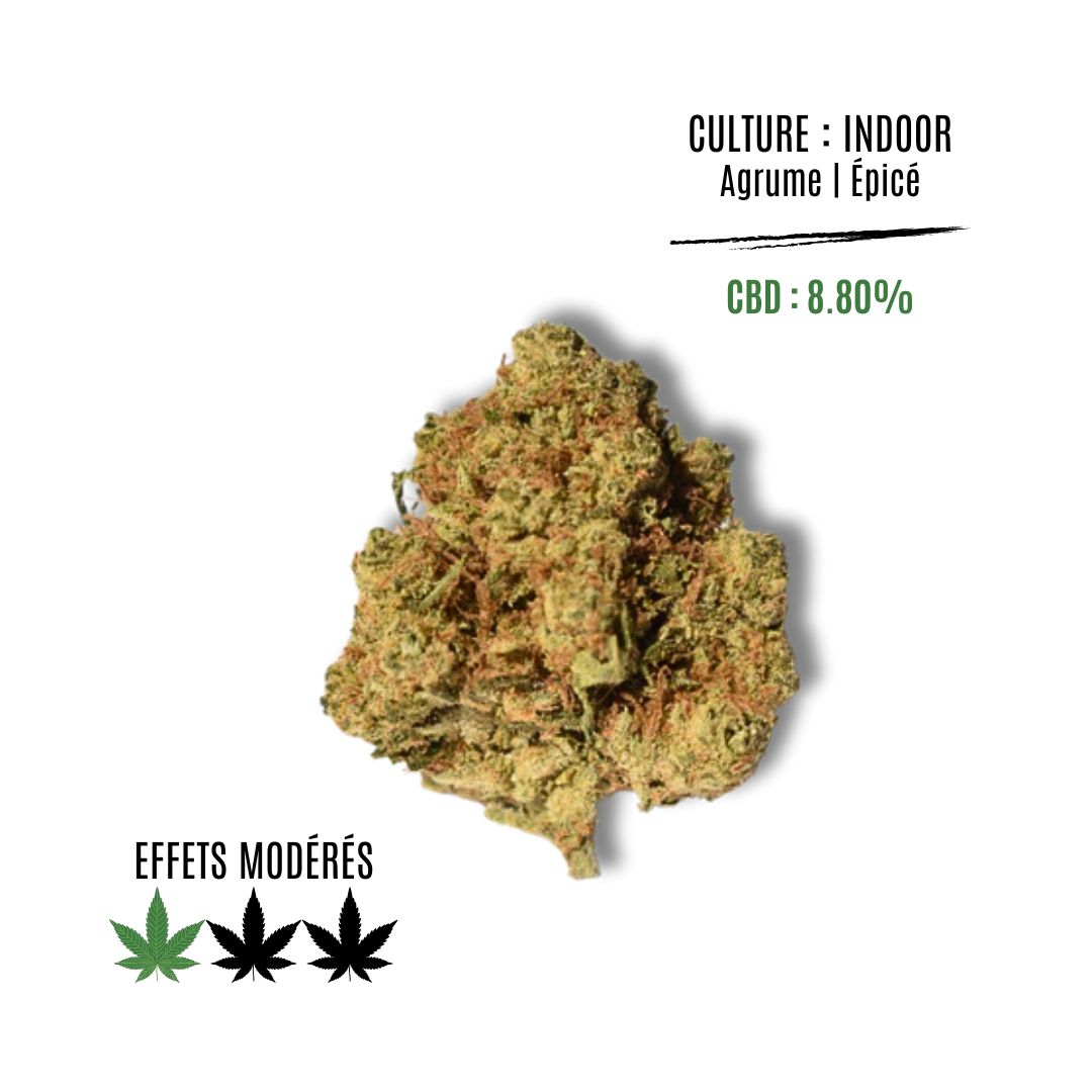 AMNESIA HAZE
