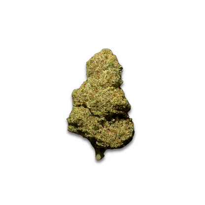 EXOTIC HAZE