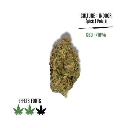 SOUR KUSH - La main verte - CBD