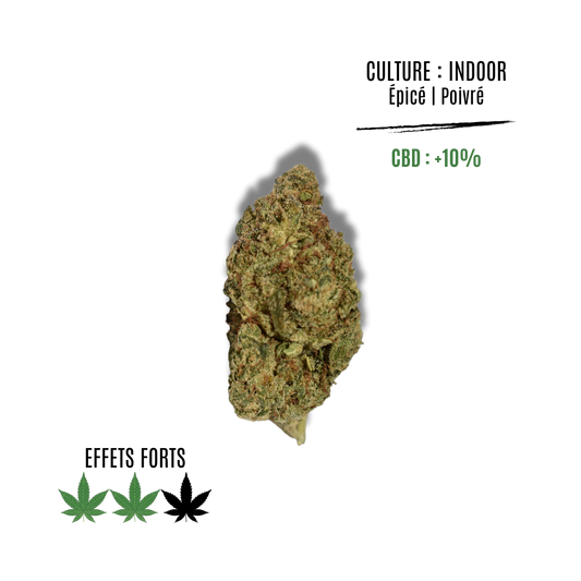 SOUR KUSH - La main verte - CBD