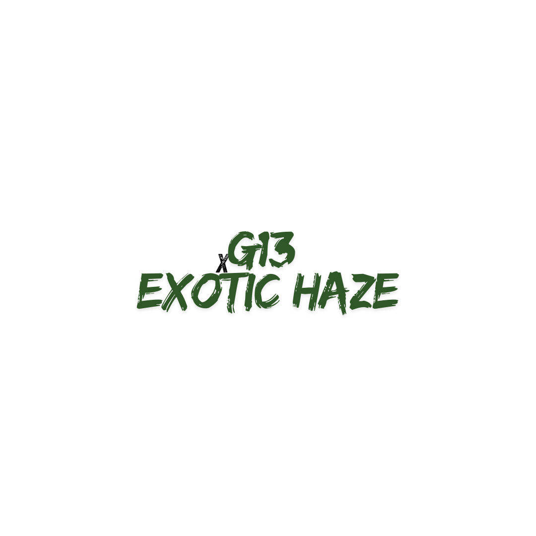 G13 x EXOTIC HAZE