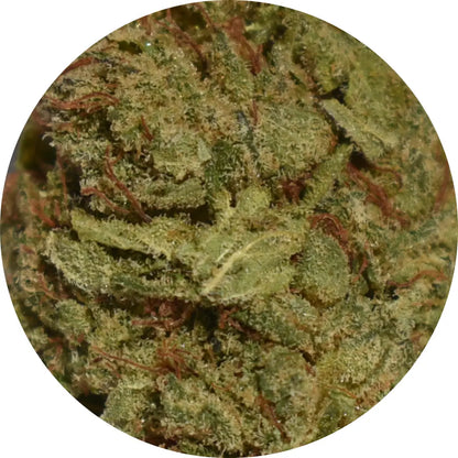 SOUR KUSH - Fleurs sour kush